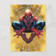 Spider-Man Sitting In A Web Postcard