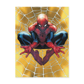 Spider-Man | Sitting In A Web Postcard