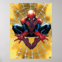 Spider-Man | Sitting In A Web