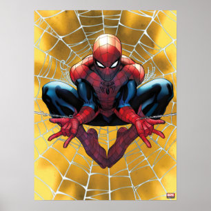 Spider-Man Sitting In A Web Poster