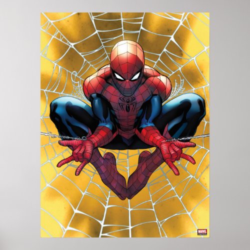 Spider_Man  Sitting In A Web Poster