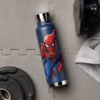  Marvel Spider-Man Stainless Steel Water Bottle with Built-In  Straw : Home & Kitchen