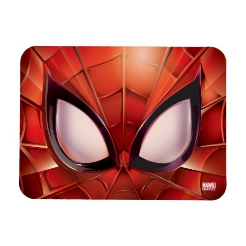 Spider_Man Webbed Mask Magnet