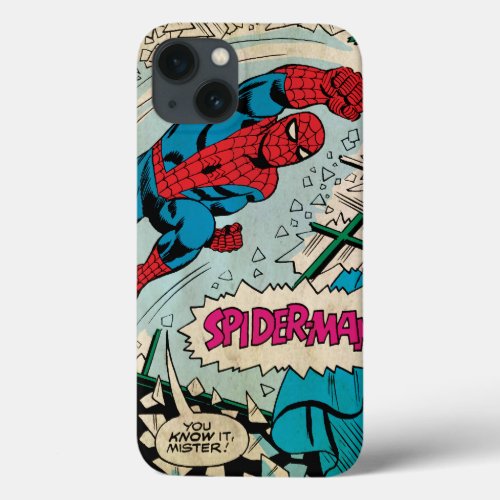 Spider_Man You Know It Mister iPhone 13 Case