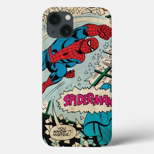 Spider_Man You Know It Mister iPhone 13 Case