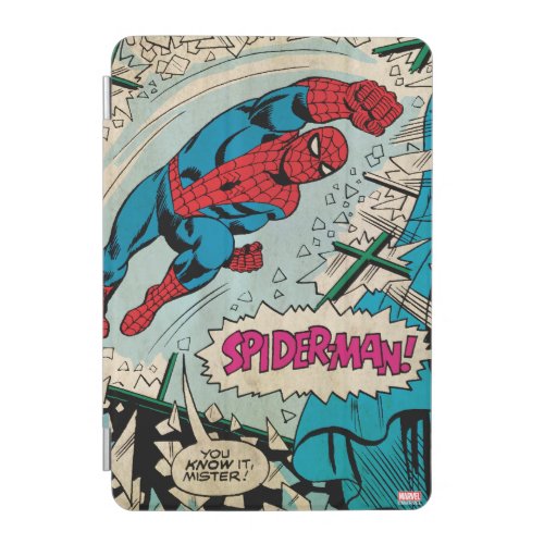 Spider_Man You Know It Mister iPad Mini Cover