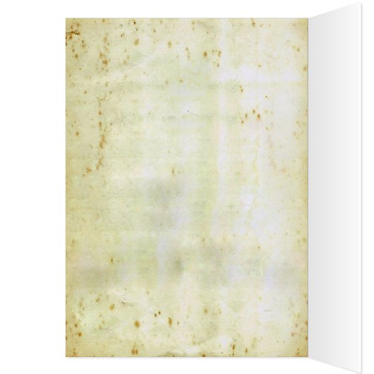 Spider Milk (Inside (Left))