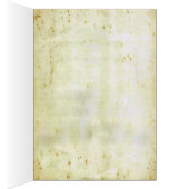 Spider Milk (Inside (Right))