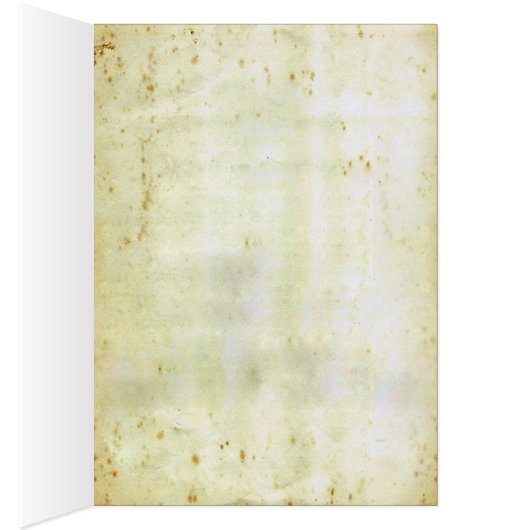 Spider Milk (Inside (Right))