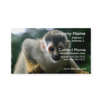 Spider Monkey Business Card