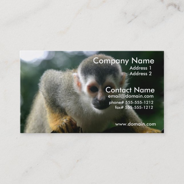 Spider Monkey Business Card (Front)