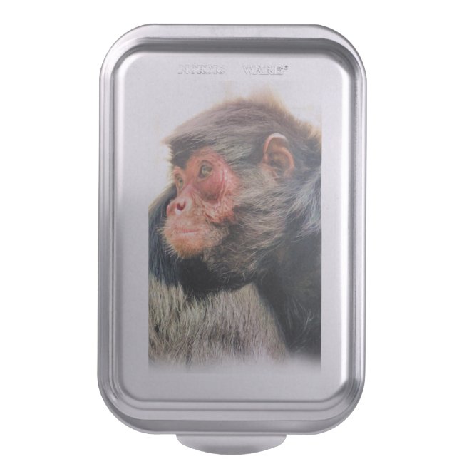 SPIDER MONKEY CAKE PAN (Front Vertical)
