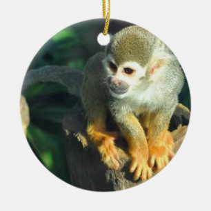Spider Monkey Ceramic Ornament