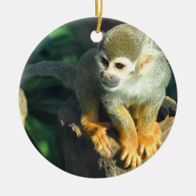 Spider Monkey Ceramic Ornament (Front)