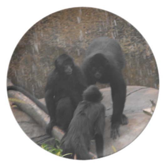 Spider-Monkey Dinner Ware Dinner Plate (Front)