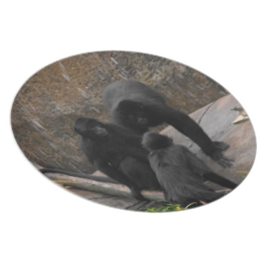 Spider-Monkey Dinner Ware Plate (Right Side)