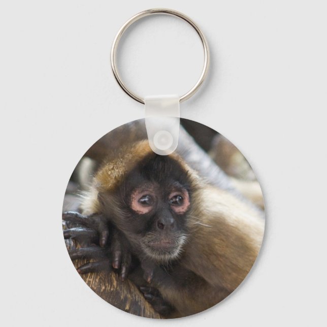 spider monkey keychain (Front)