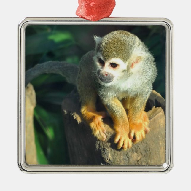Spider Monkey Metal Ornament (Front)