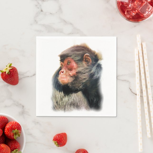 SPIDER MONKEY NAPKINS (Insitu)