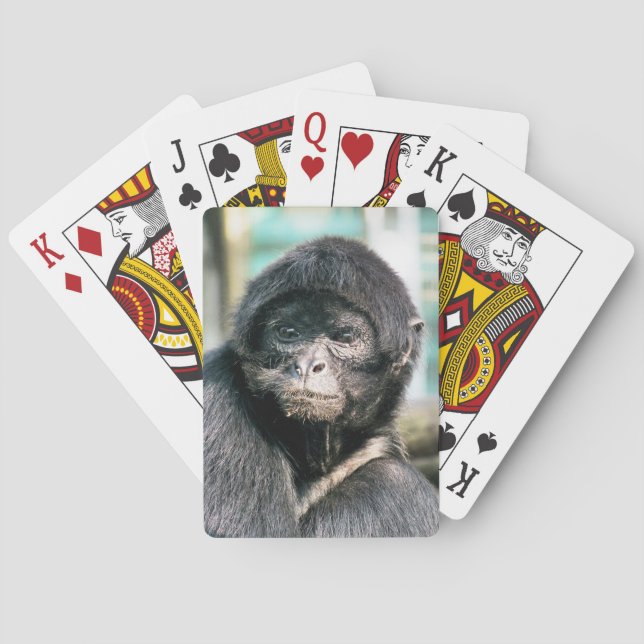 SPIDER MONKEY POKER CARDS (Back)