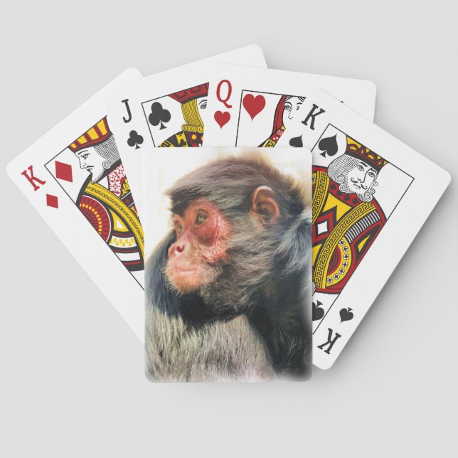 SPIDER MONKEY POKER CARDS (Back)