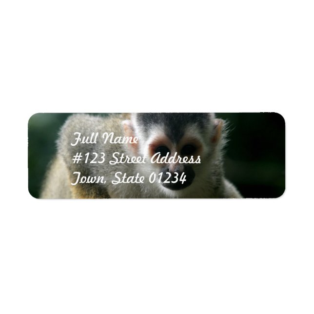 Spider Monkey Return Address Label (Front)