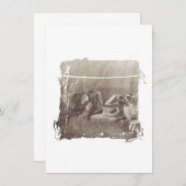 Spider Monkeys (Front/Back)