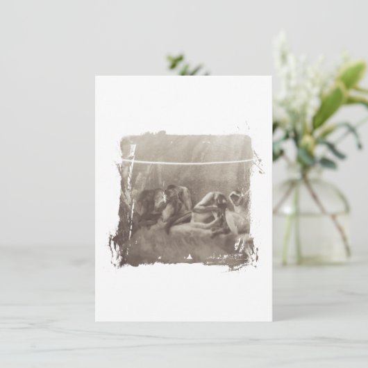 Spider Monkeys (Standing Front)