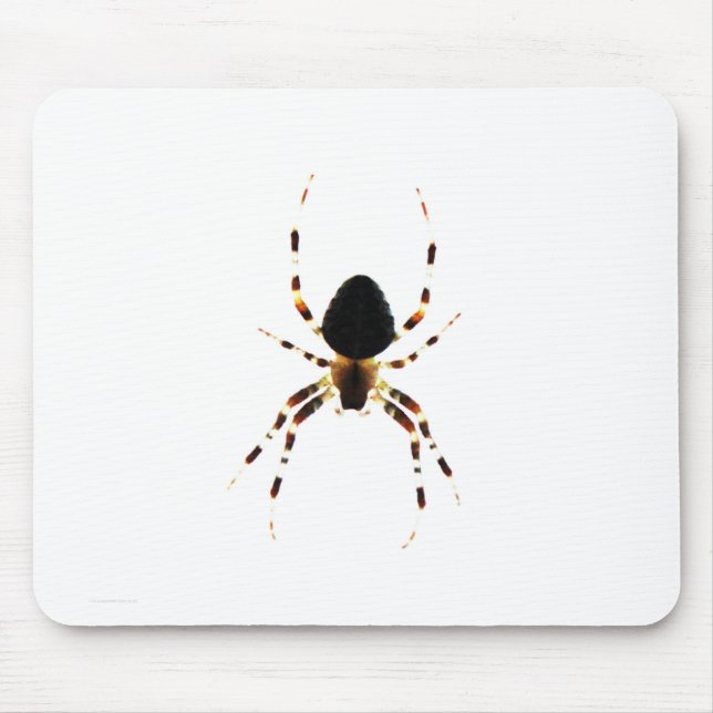 Spider mpcnm mouse pad (Front)