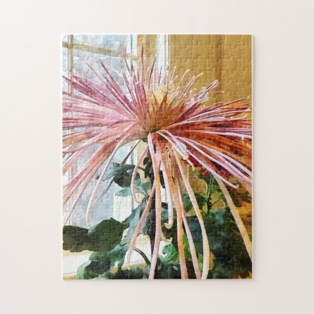 Spider Mum Pink Splendor Jigsaw Puzzle (Vertical)