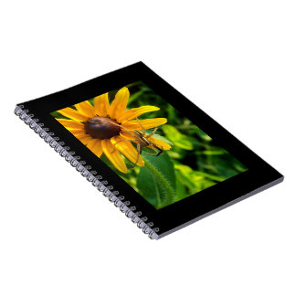 Spider on a Sunflower 6.5x8.57 Spiral Notebook