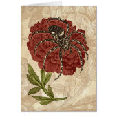 Spider On Flower (Front)