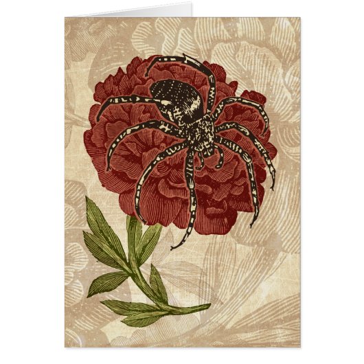 Spider On Flower Cards (Front)