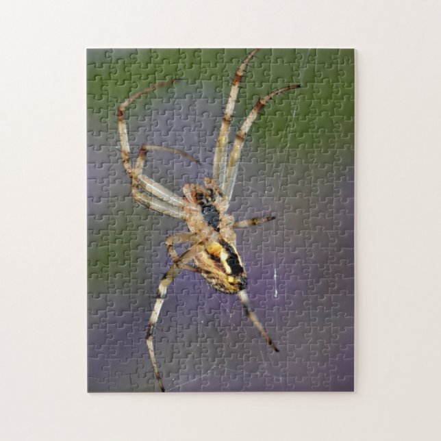 Spider on its cobweb jigsaw puzzle (Vertical)