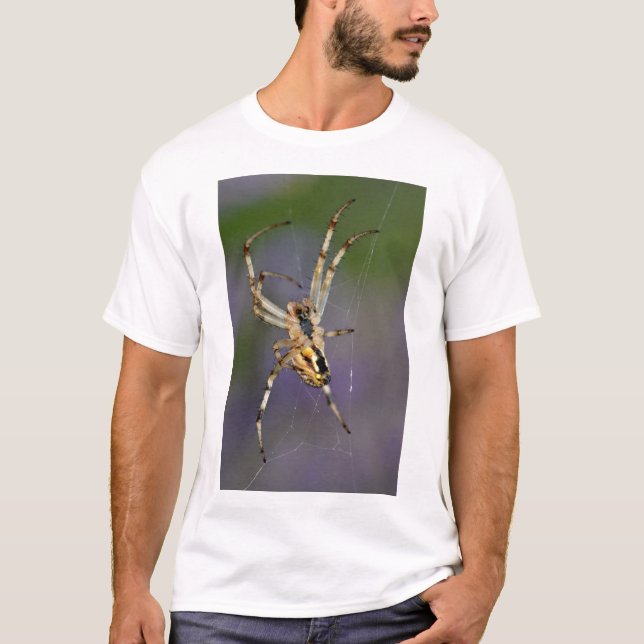 Spider on its cobweb T-Shirt (Front)