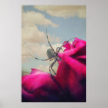 Spider on Red Roses Poster