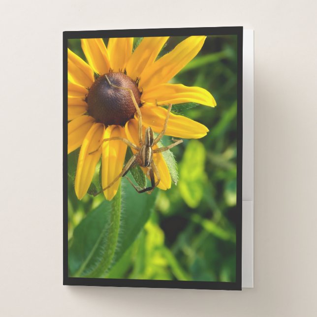Spider on Sunflower Folder (Front)