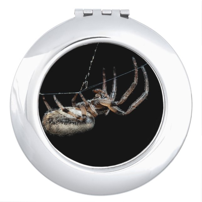 Spider On Web Compact Mirror (Front)