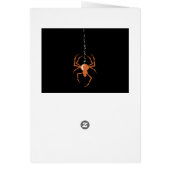 Spider (Orange) Cards (Back)