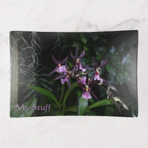 Spider Orchid Purple Flowers Trinket Tray