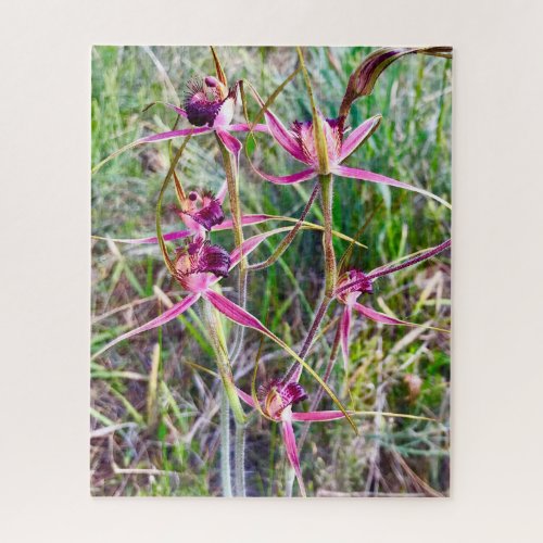 Spider Orchids Jigsaw Puzzle