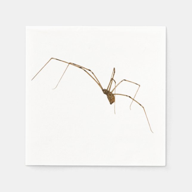 Spider Paper Napkins (Front)