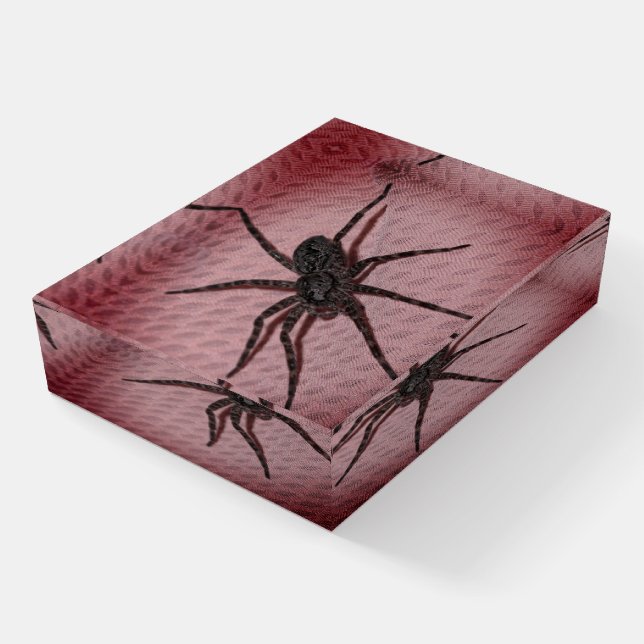Spider Paperweight (Angled)