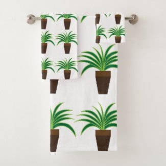 Spider Plant   