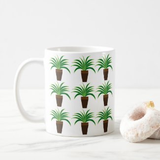 Spider Plant 