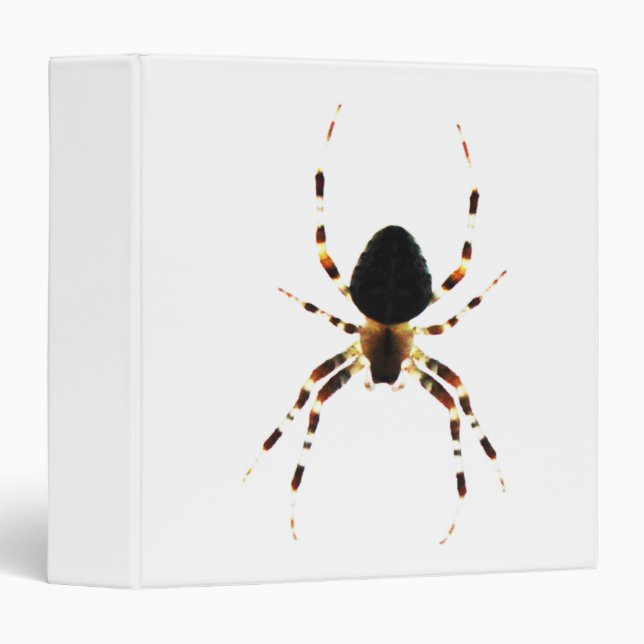 Spider rbcnm 3 ring binder (Front/Spine)