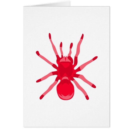 Spider (Red) Cards (Front)