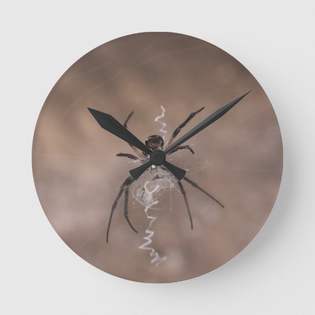 Spider Round Wall Clock (Front)