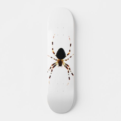 Spider sdcnm skateboard