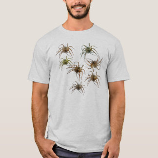 Spider Shirt!  (Seven realistic Spiders on Front; T-Shirt